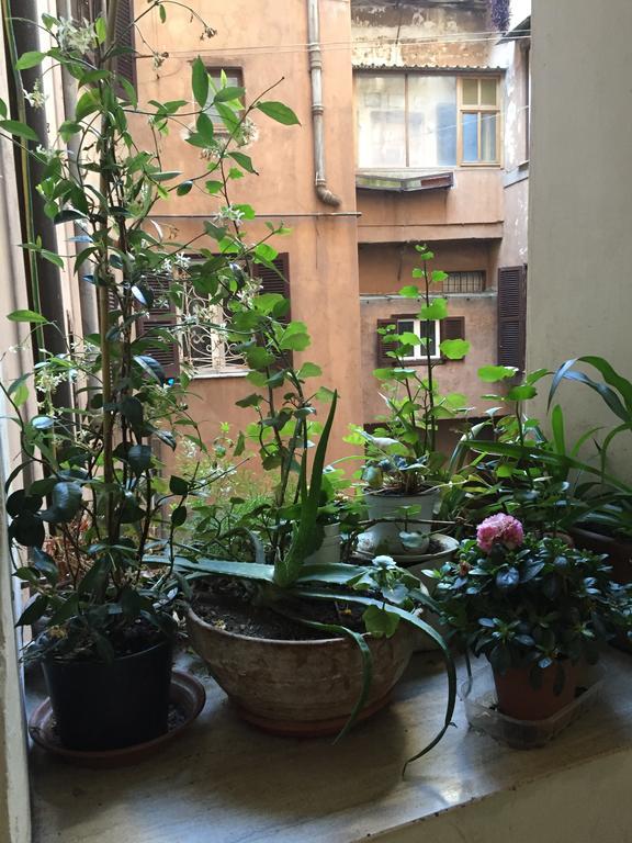 דירות רומא Casa Magiuli' Navona מראה חיצוני תמונה